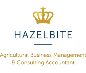 Hazelbite